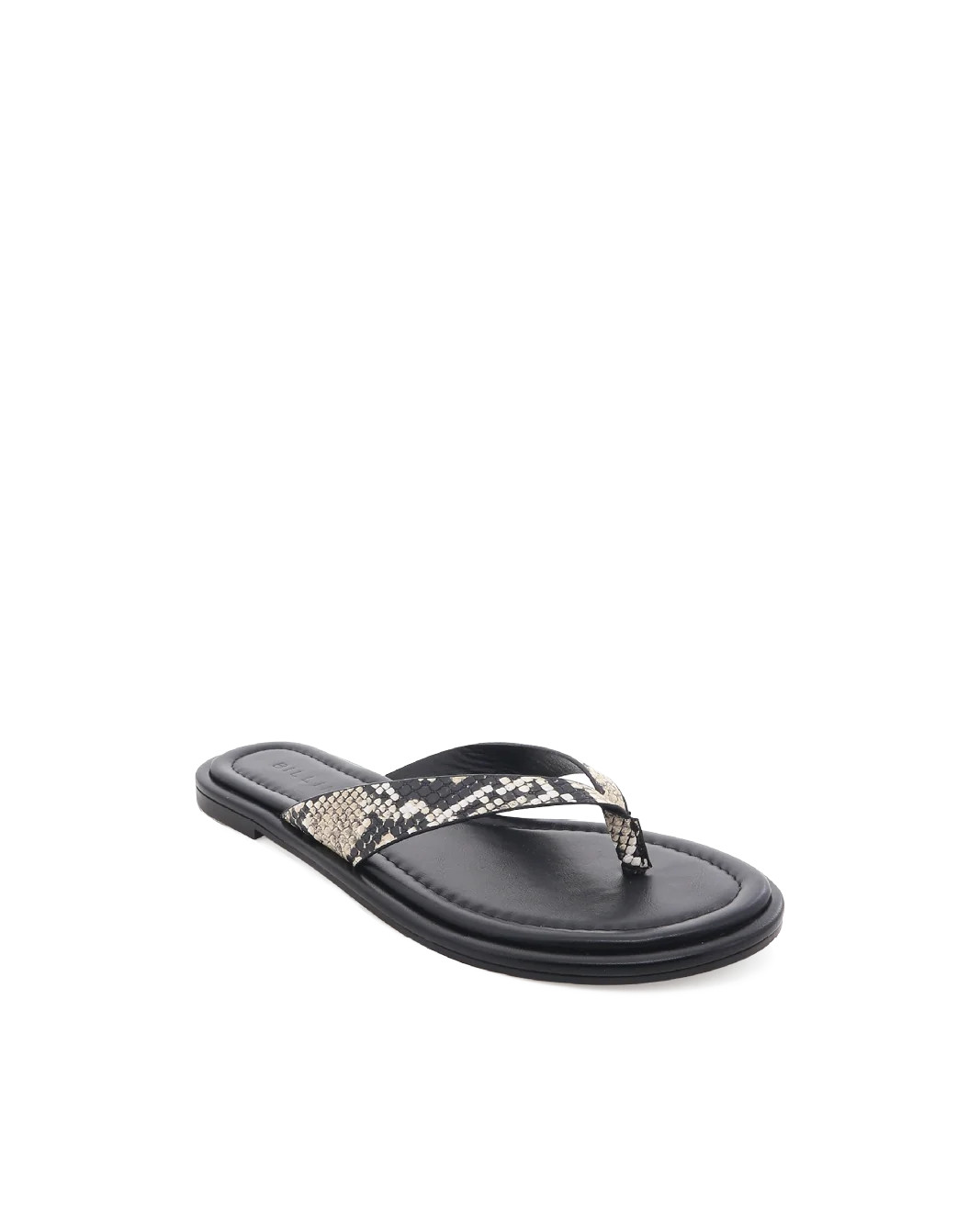 ZENOBIA - ECRU SNAKE - Sandals - Billini | Billini US