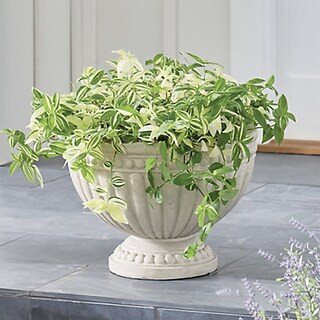Reese Bowl Planter | Grandin Road | Grandin Road