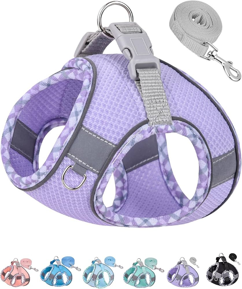 Petank Dog Harness for Small Medium Dogs No Pull, Puppy Harness and Leash Set, Step in Dog Harnes... | Amazon (US)