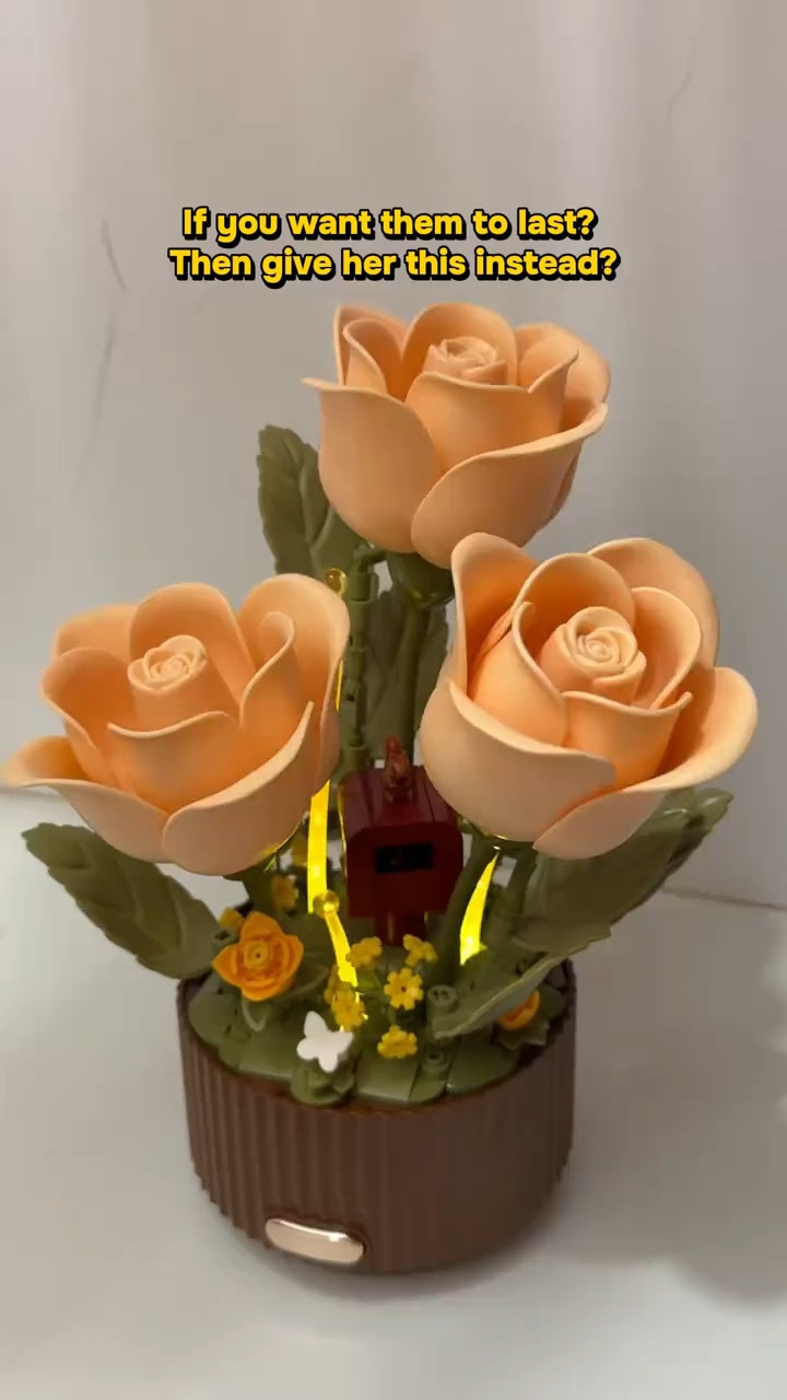 My daughter is allergic to real flowers so I gave her this!
absolutely
stunning building blocks flowers, so beautiful! Perfect gift for Mother's Day or Valentine's Day also
#valentinesdaygiftideas
#tiktokshopfinds #viral #giftideas #buildingblocks