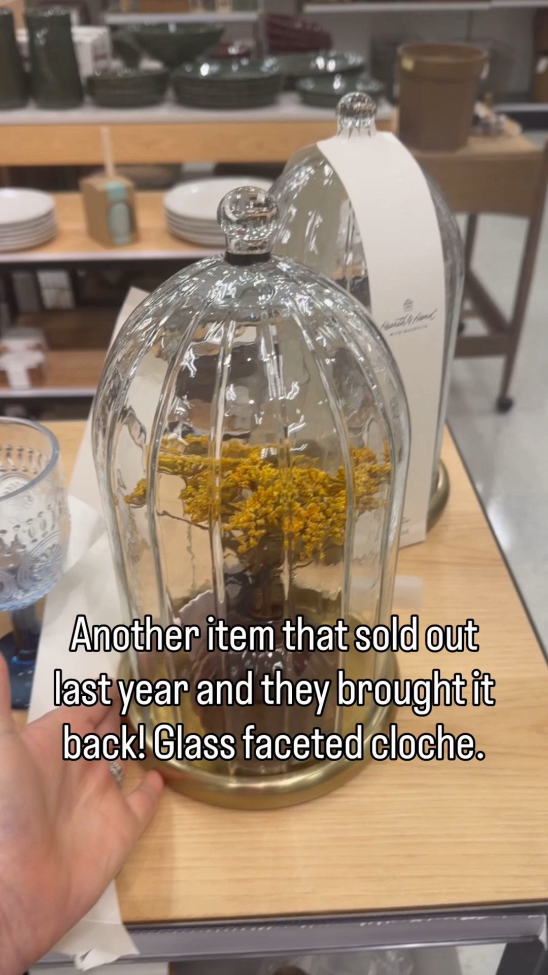 Love this cloche

#LTKHome