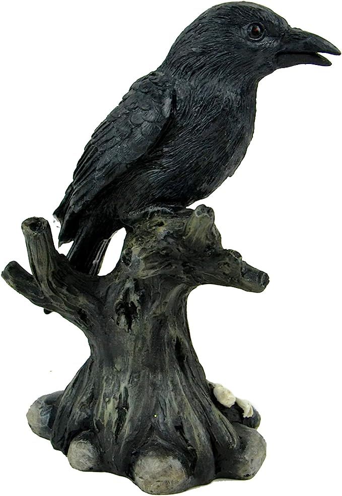 Touch of Nature Halloween Crow Decor Assortment - Wicca Decor - Spooky Crow Decor - Black Bird (C... | Amazon (US)