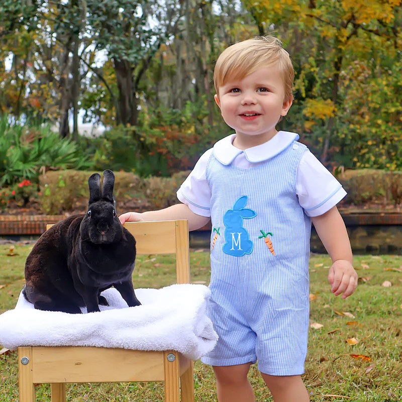 Bunnies & Carrots Blue Gingham Jon Jon | Classic Whimsy