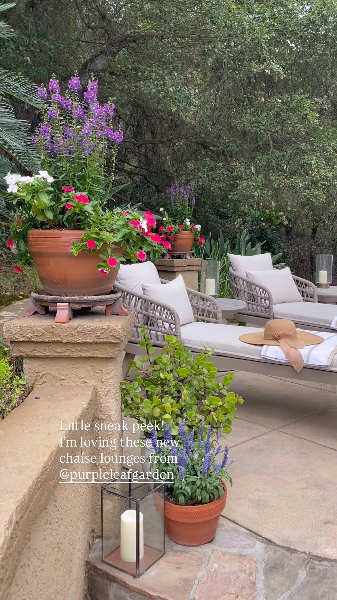 A little sneak peek of our new outdoor chaise lounges from Purple Leaf! I love them so much!! 

Beautiful woven rope back and sturdy metal base. 👍🏻

They come with a base cushion plus two back cushions that are all covered with outdoor grade, waterproof fabrics.  

This is the “Champagne” color option for reference. 🙌🏻

Perfect for the hottest month of the year still to come!

#LTKHome #LTKSeasonal