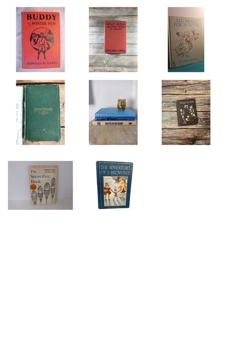 Seasonal Books

#LTKGiftGuide #LTKSeasonal #LTKhome