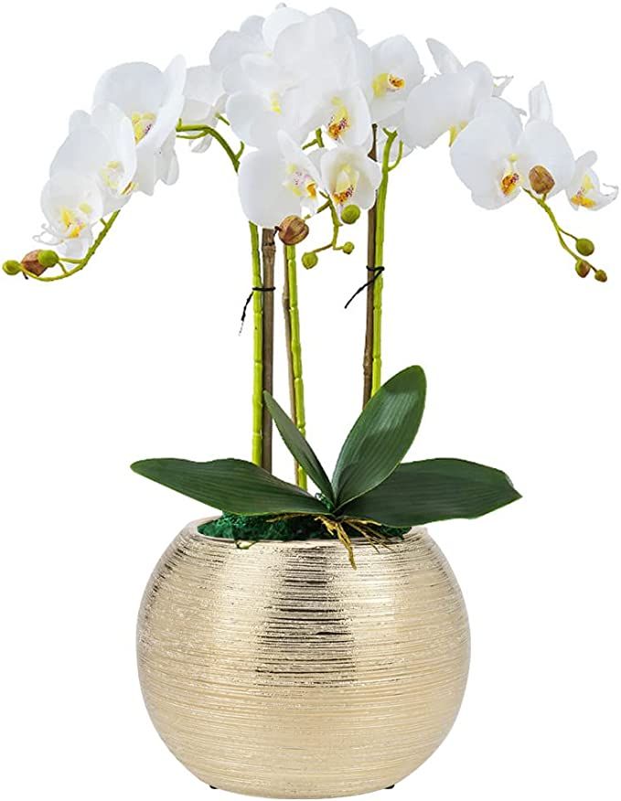 Decor Trends Gold Ceramic Flower Vase Home Decor Vase Centerpieces Vases Metallic Round Bowl Vase... | Amazon (US)