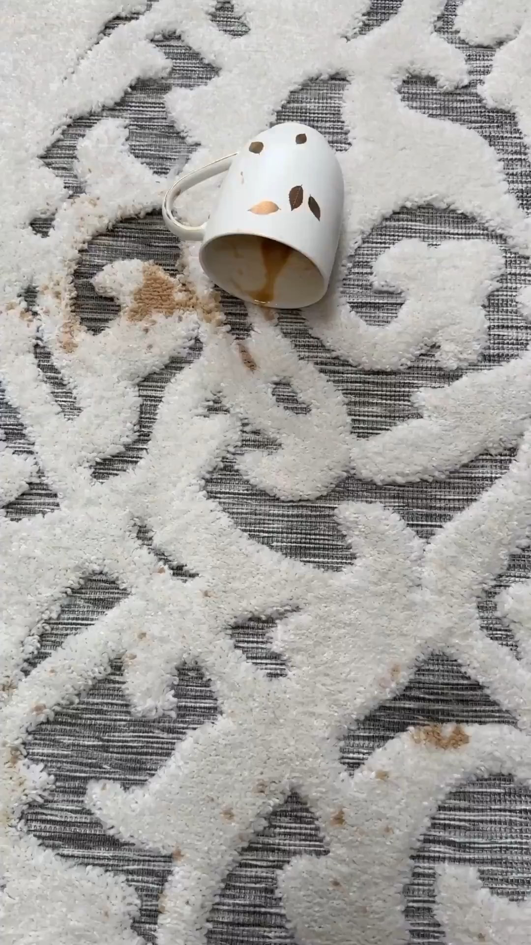 The best non toxic stain remover @amazon #founditonamazon



#liketkit #LTKKids #LTKHome #LTKBaby
@shop.ltk
https://liketk.it/5Kf1X