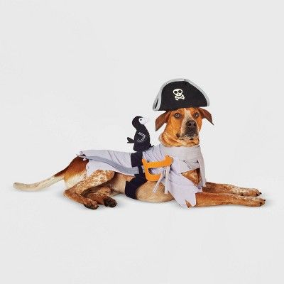Ghost Pirate LED Dog Costume - XL - Hyde &#38; EEK! Boutique&#8482; | Target