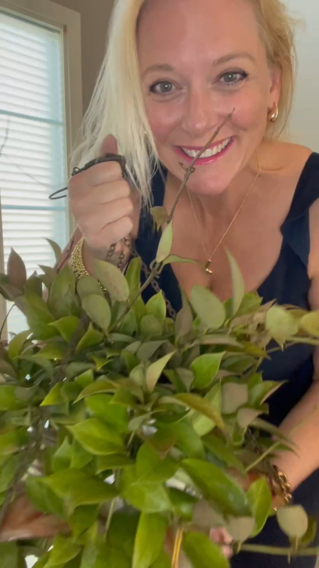 My #hoyasunrise is only showing a little sunstress, but it’s blooming & growing like crazy this summer!

Liz’s personal experience only…every environment is different:
🪴Name: #hoyacvsunrise 
🪴Light: in partial shade outside 
🪴Water: when dry
🪴Avg Temp last 30 days: 84F
🪴Relative Humidity last 30 days: 75%
🪴Fussy: not for me
🪴Rate of growth: medium 
🪴Rareness: common
🪴Growing Medium: coco husks (comment “shop” for a direct link)
🪴Growing location: outside under my deck 
🪴Fertilizer: I apply a nutrient-rich fertilizer tailored for Hoyas approximately every other watering when the plant isn’t dormant. It’s packed with essential macro and micronutrients, it’s the best I’ve found for hoyas!🪴(drop “shop” in comments for a link straight to your DMs)
🪴Rooting Method: in my custom coco coir mix (comment “shop” for link to ingredients).
🪴Time In My Care: 5 years 
🪴Would Liz recommend this one: yes

👍follow for more & 🏷️ save for future reference 

🛒If you are looking to increase your hoya collection, please note that I sell cuttings directly from my collection. You can find my availability and prices by clicking on my link in my bio and scrolling to “Buy Cuttings From My Collection.” Shipping in the US 🇺🇸 only. 

#ilovehoyas #hoyacollector #hoyahead #hoyaappreciation #hoyacollection #plantsmakemehappy #ihavethisthingwithplants #easilydistractedbyplants 
