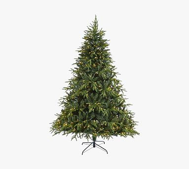 Faux Pre-Lit Colorado Mountain Fir | Pottery Barn (US)