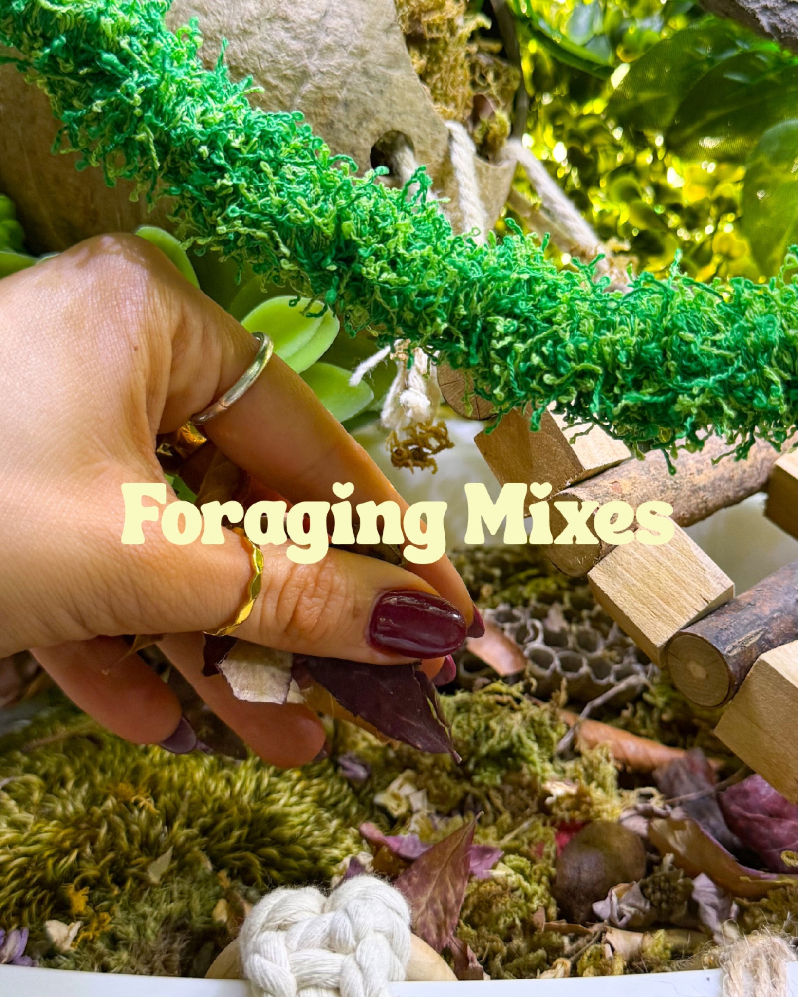 Foraging mixes for hermit crabs