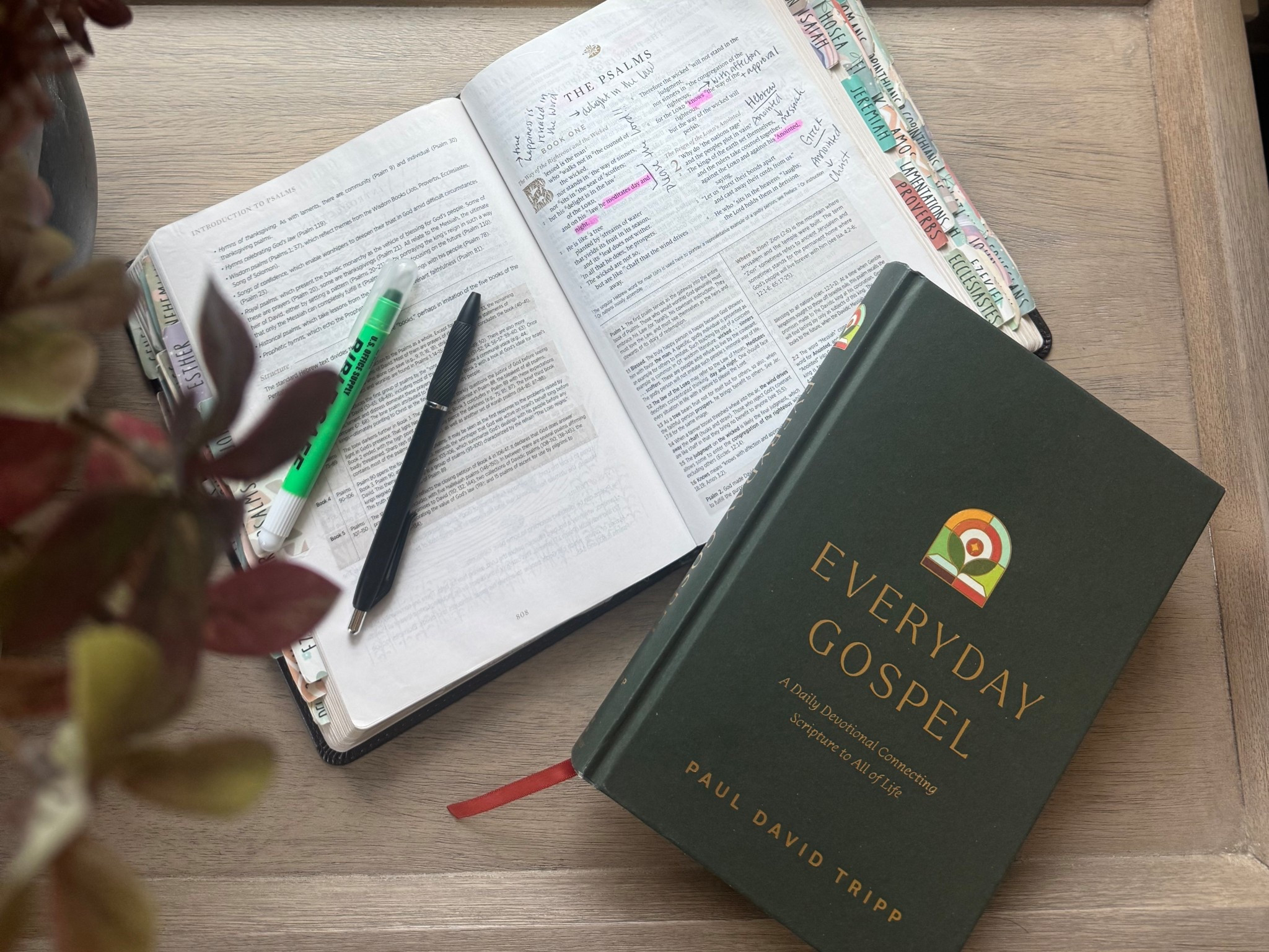 Women’s Leather Study Bible & Daily Devotional 

#LTKHome