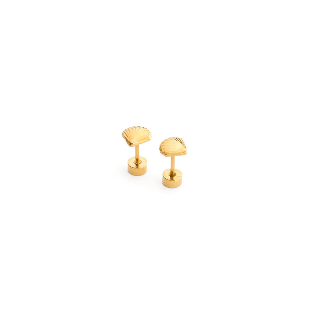 Seashell | Pip Pop Post