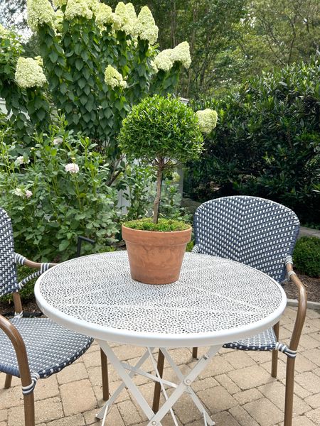I shared all of my Myrtle topiary care tips in a blog post today.  These are the products I use on them.  #topiary #grandmillennial #classicstyle #patio

#LTKhome #LTKunder50