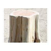 Tree Stump Table Base, odd wonky shape, 13x15 top, 22 tall, base 16x20, Seat, Table, Stool, ready for home, business, art, garden project | Bonanza (Global)