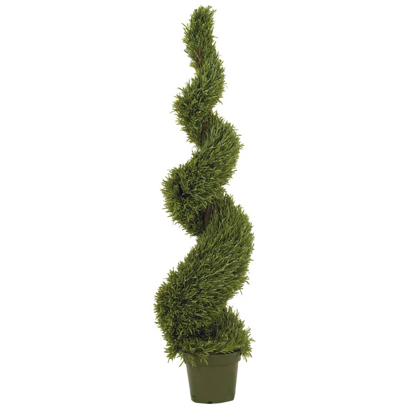 Rosemary Faux Cedar Topiary in Pot | Wayfair North America