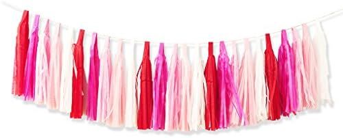 Pink Tissue Paper Tassel Garlands Assembled for Wedding Birthday Party Decorations, 25 pcs | Amazon (US)