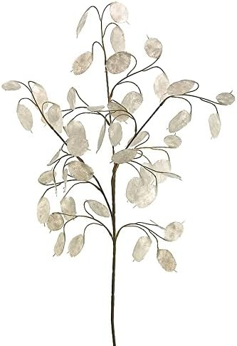 30" Silver Dollar Spray White (Pack of 12) | Amazon (US)