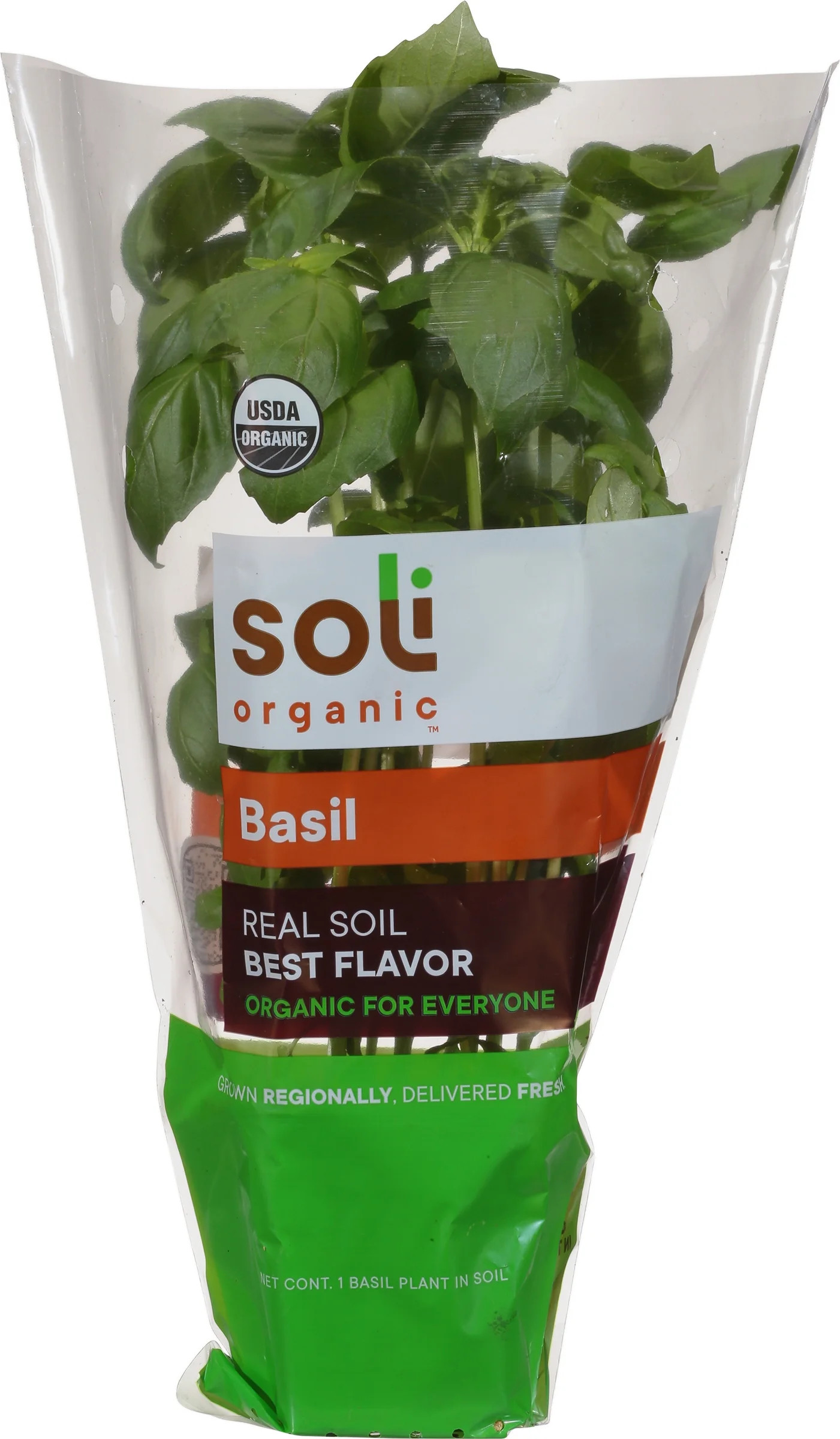 Organic Basil Plant in Soil | Walmart (US)