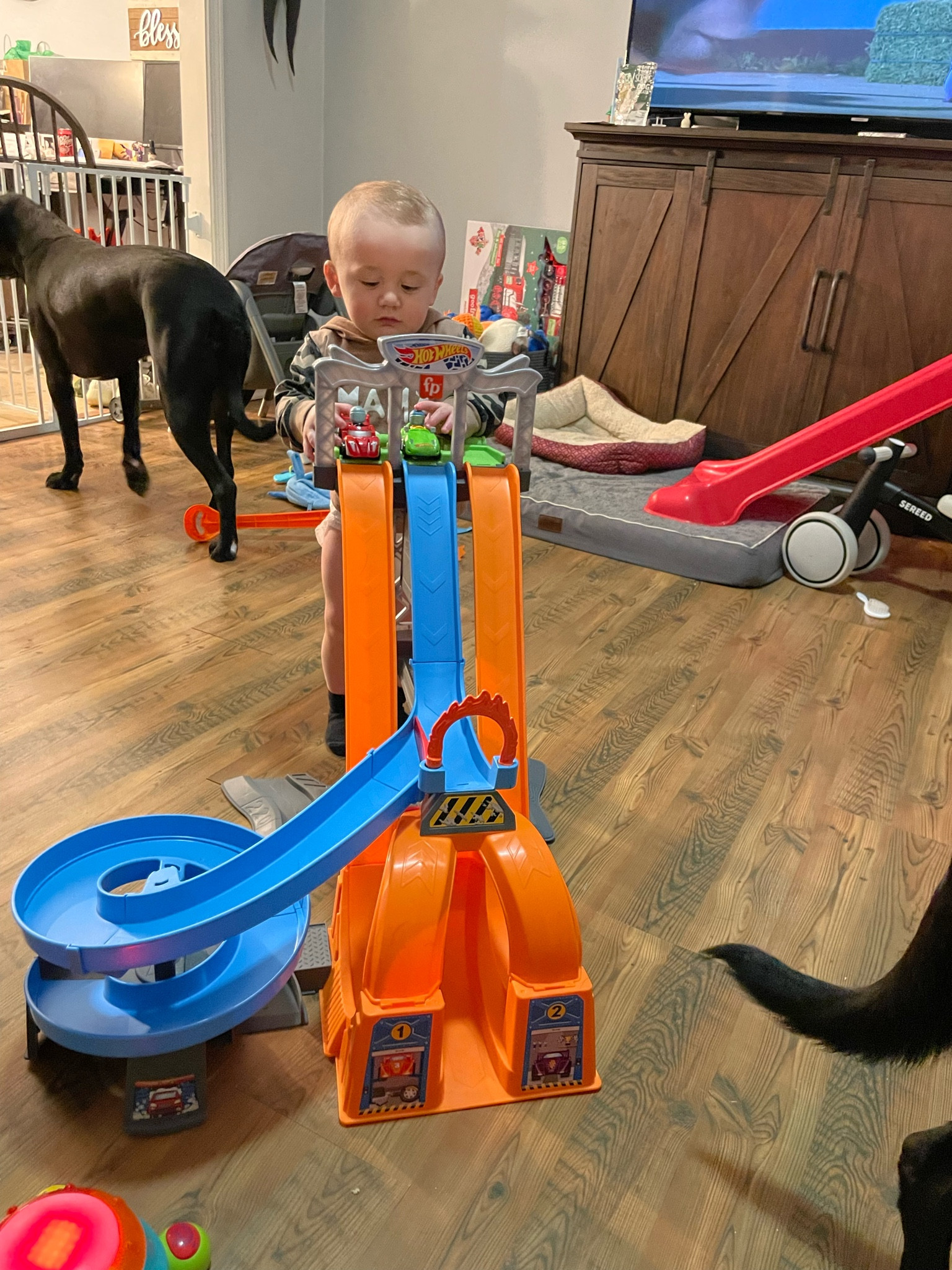 Our favorite toy this week! This little man loves cars, ramps and racetracks! It was quick and easy to assemble and has been hours of entertainment for our little one! 

#LTKfamily #LTKfindsunder50 #LTKkids