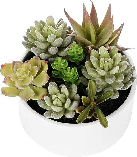 MyGift Decorative Round Faux Potted Succulents/Artificial Plant in 6 Inch Glazed White Ceramic Fl... | Amazon (US)