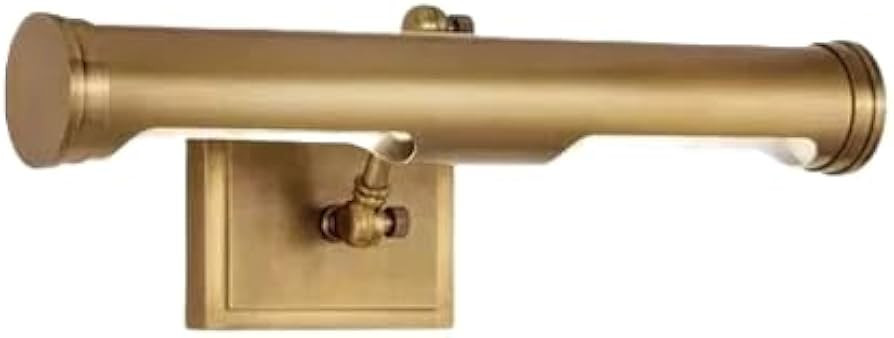 Southern Living Tate Picture Light Wall Mounted Brass Picture Light - Modern Adjustable LED Wall ... | Amazon (US)