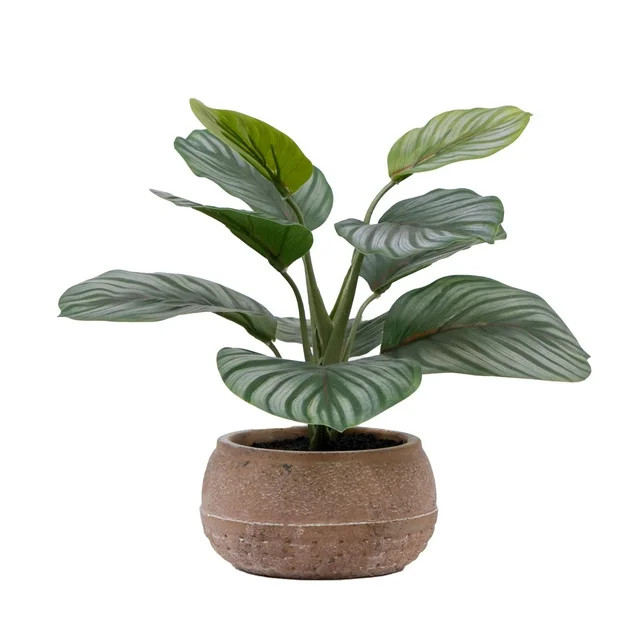 Better Homes & Gardens 9.5"H Artificial Indoor Calathea in Stone Planter | Walmart (US)