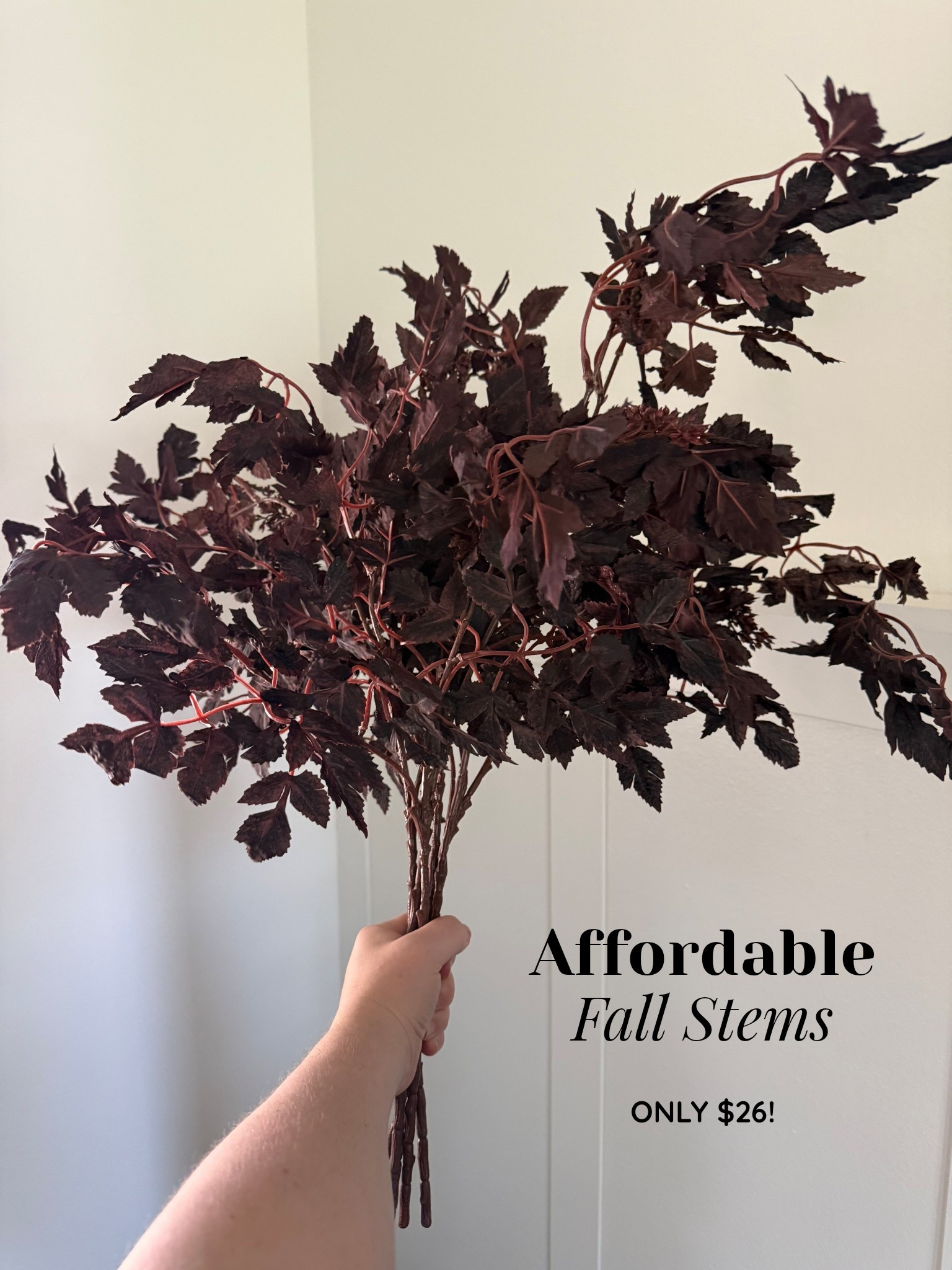 These beauties just arrived and I had to share what a great deal they are! This is right out of the package  - they’re so full!!

#LTKFindsUnder50 #LTKHome #LTKSeasonal