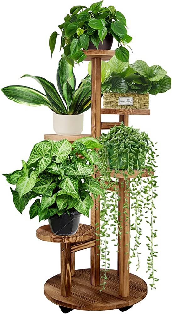 GEEBOBO 5 Tiered Tall Plant Stand for Indoor Outdoor, Wood Plant Shelf Corner Display Rack, Multi... | Amazon (US)