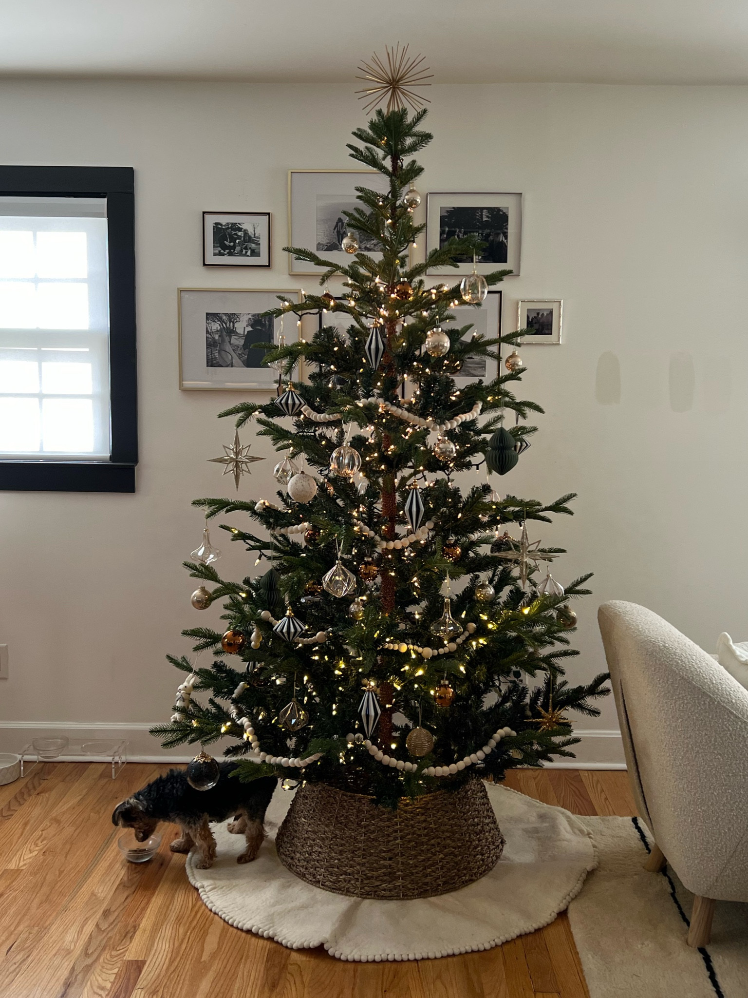 Everything we used to decorate our Christmas tree 🎄 (if it’s not linked then it’s out of stock)

#christmastree #christmastreedecor #holidaydecor #christmasdecor 