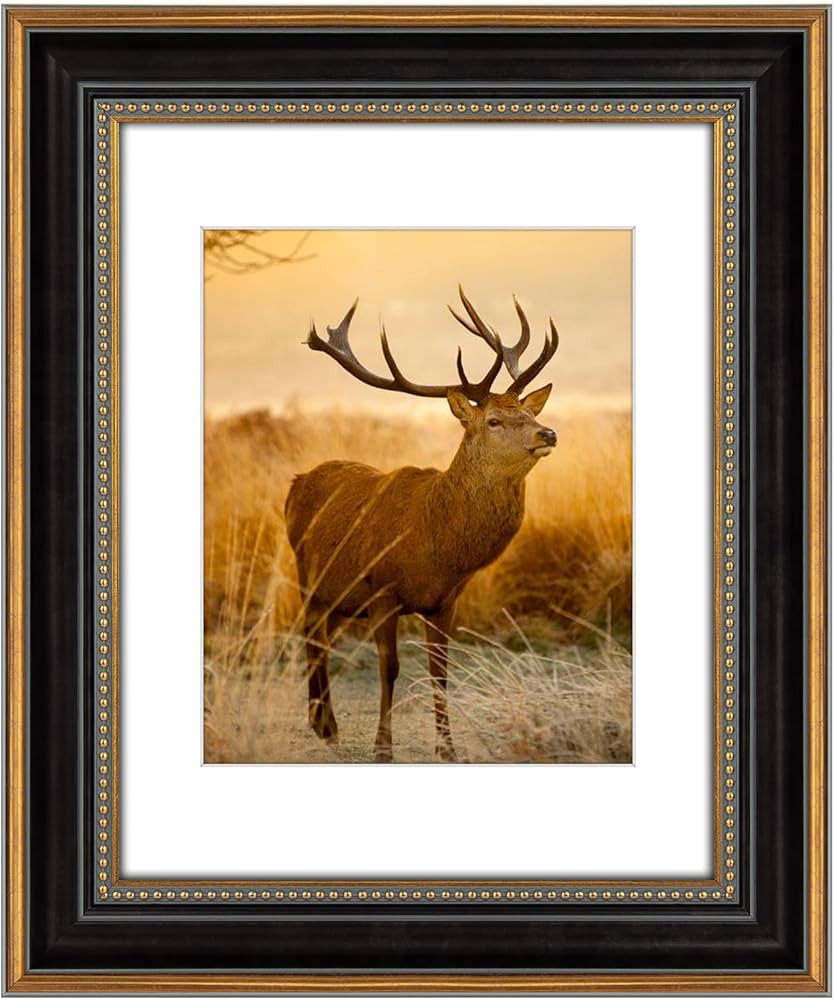 AUEAR,11x14 Picture Frame for 8x10 Photo With Mat or 11x14 Prints Without Mat,Vintage Style,Wall ... | Amazon (US)