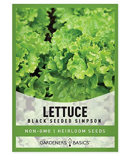 Gardeners Basics, Green Leaf Lettuce Seeds for Planting - (Black Seeded Simpson Variety) Heirloom, Non-GMO Lettuce Variety- 2 Grams Seed Great for Spring, Summer, Fall, Winter Garden and Hydroponics | Amazon (US)