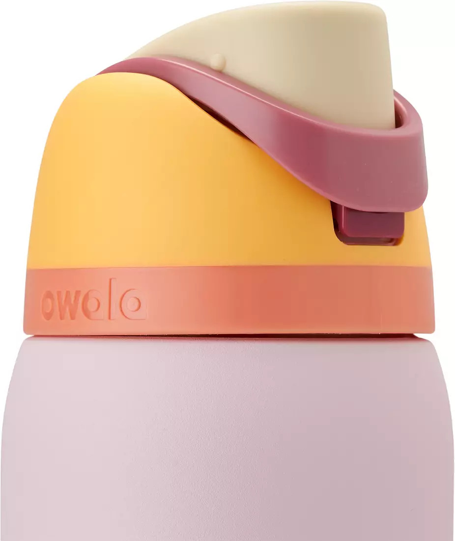 Owala 32 oz. FreeSip Stainless Steel Water Bottle | DICK'S Sporting Goods