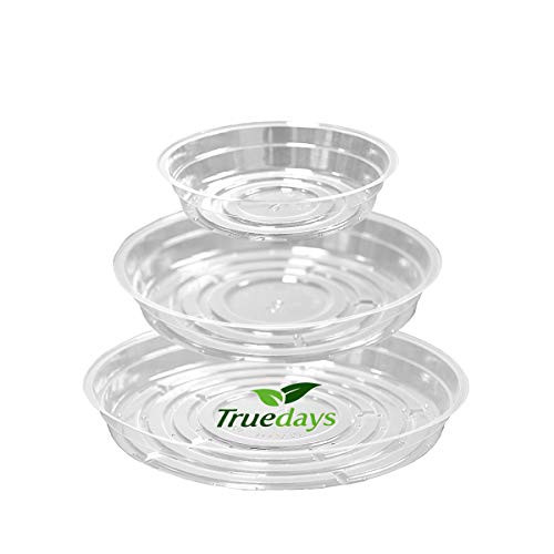 TRUEDAYS 15 Pack(6 inch/8inch/10inch) Clear Plant Saucers Flower Pot Tray Excellent for Indoor & Out | Amazon (US)