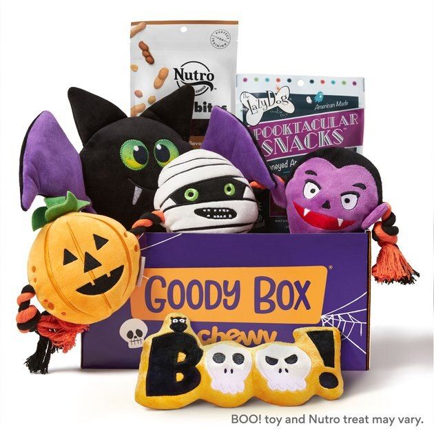 GOODY BOX Halloween Dog Toys & Treats, Medium/Large - Chewy.com | Chewy.com