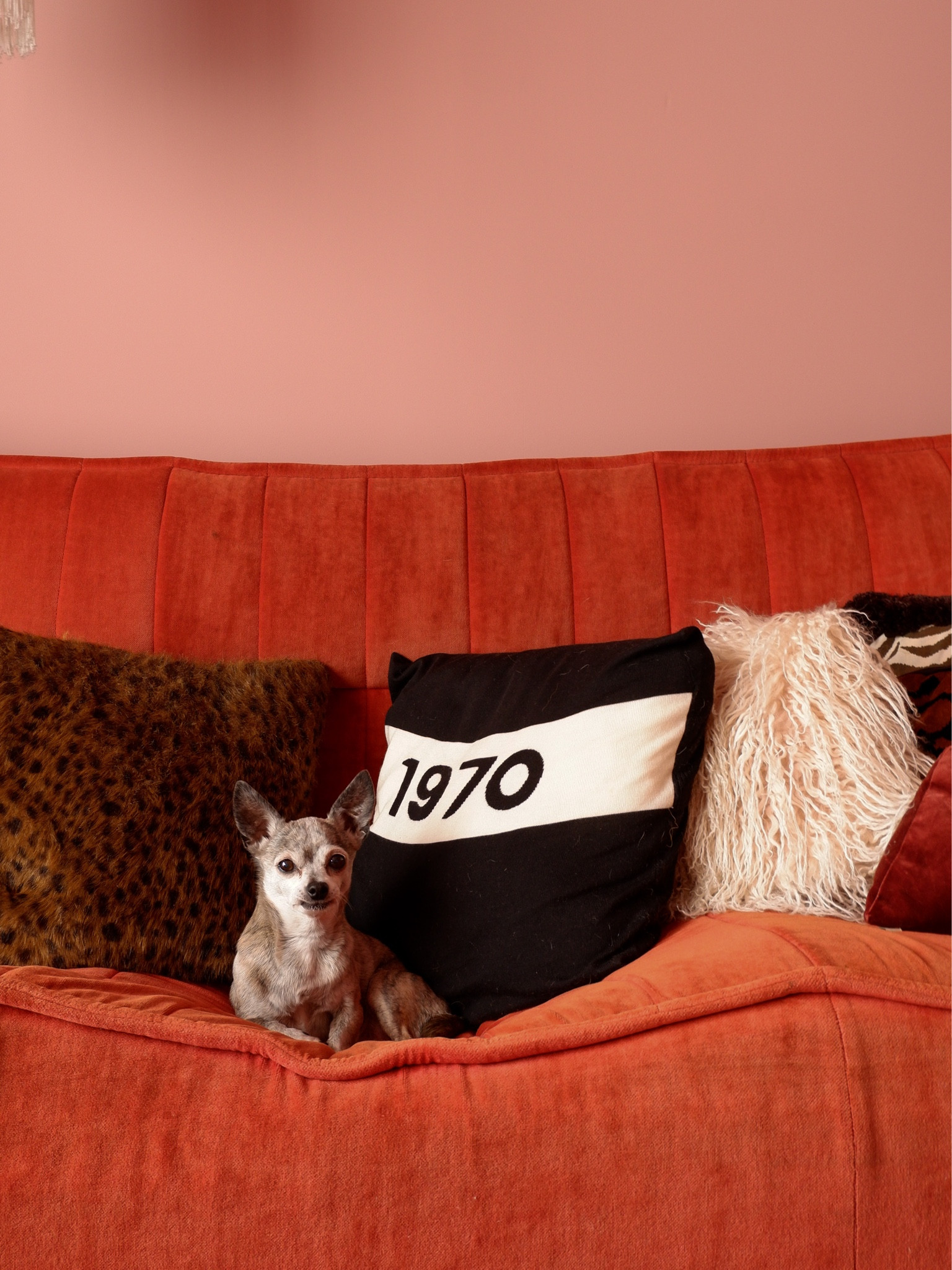 Bella Freud Black 1970 Cushion curated on LTK