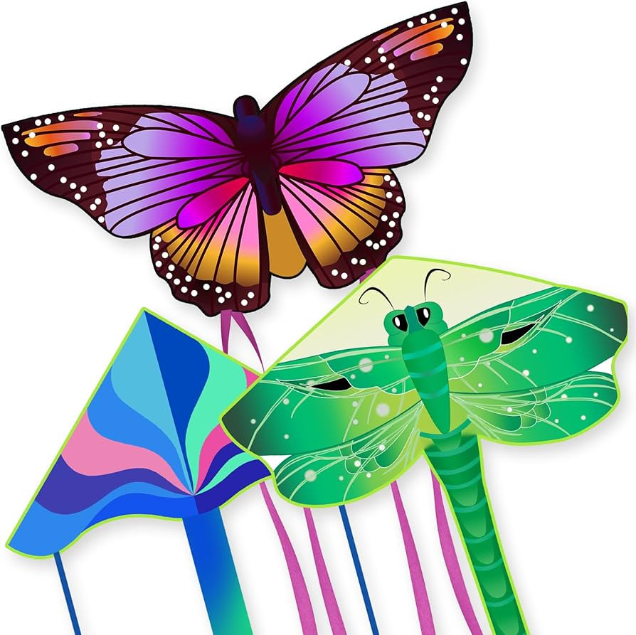 3 Pack Large Kites - Butterfly Delta Dragonfly Kites Easy to Fly for Adults Kids Beach Park Outdo... | Amazon (US)