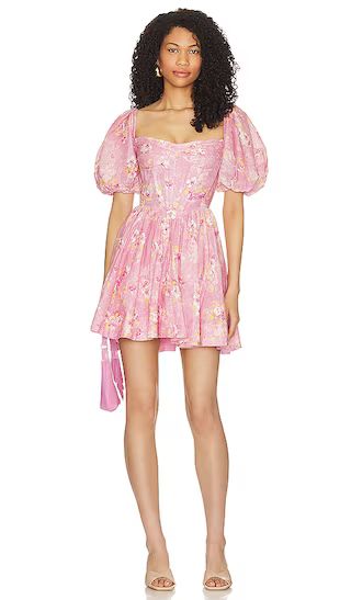 Kiah Corset Mini Dress in Pink Garden | Revolve Clothing (Global)
