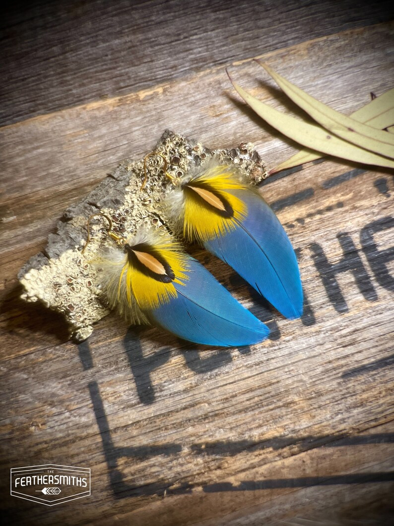 Blue and Gold Macaw Feather Earrings - Long Yellow Boho Feather Earrings - Bright Blue Feather Je... | Etsy (US)