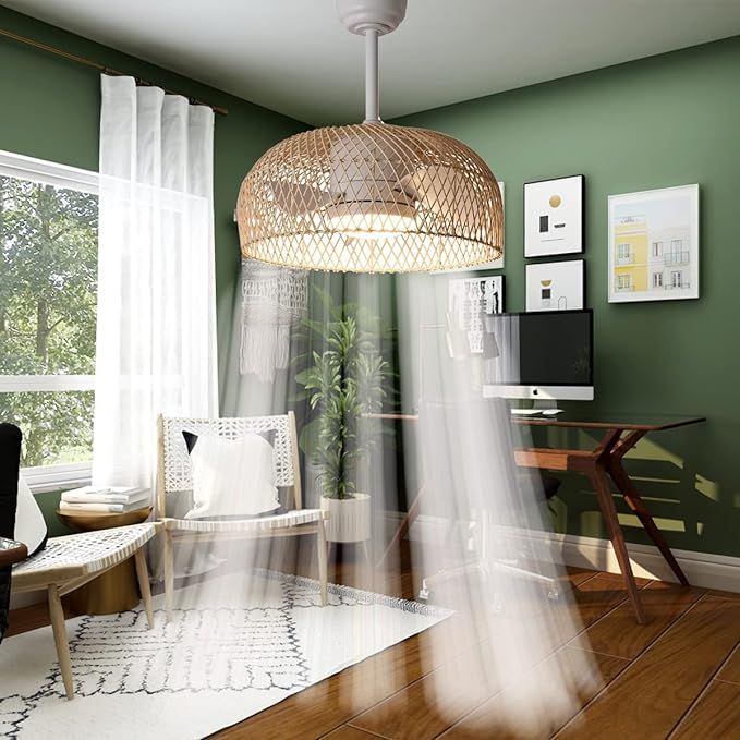 18W LED 20 Inches Bamboo Rattan Wicker Smart Caged Dimmable Ceiling Fan With Light,Woven Farmhous... | Amazon (US)