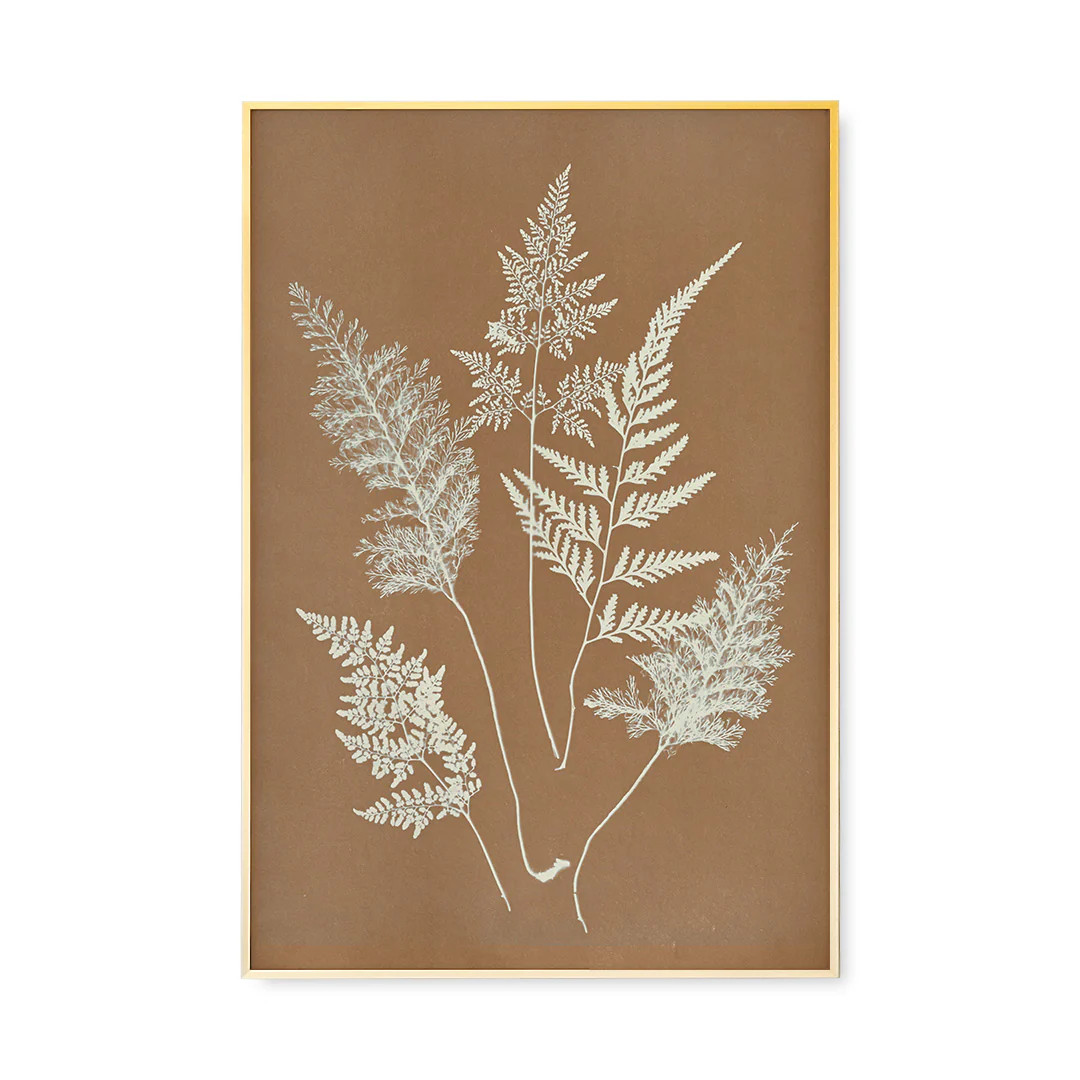 Hued Fern Single | High-End Wall Art | Urban Garden Prints