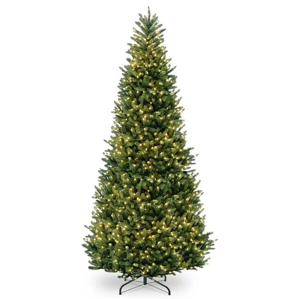 Natural Fraser Fir Slim 12' Green Christmas Tree with 1200 Clear/White Lights | Wayfair North America