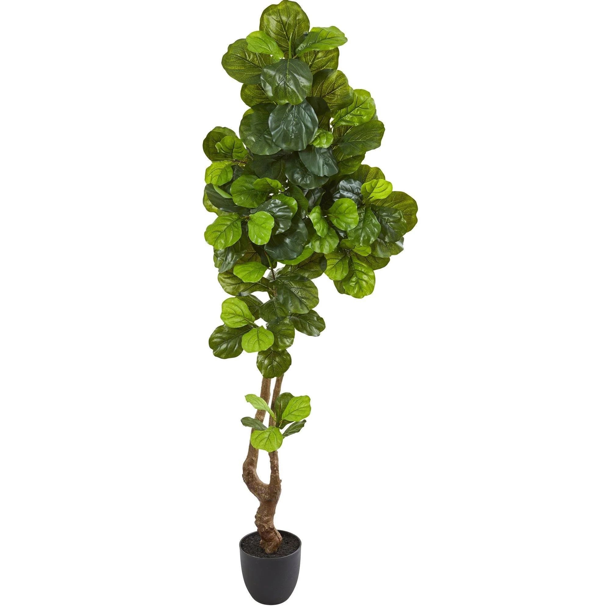 78” Fiddle Leaf Artificial Tree (Real Touch) | Nearly Natural