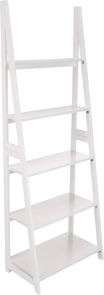 Amazon Basics Ladder Bookshelf Organizer, 5-Tier, Solid Rubberwood Frame, White Finish, 14D x 24.... | Amazon (US)