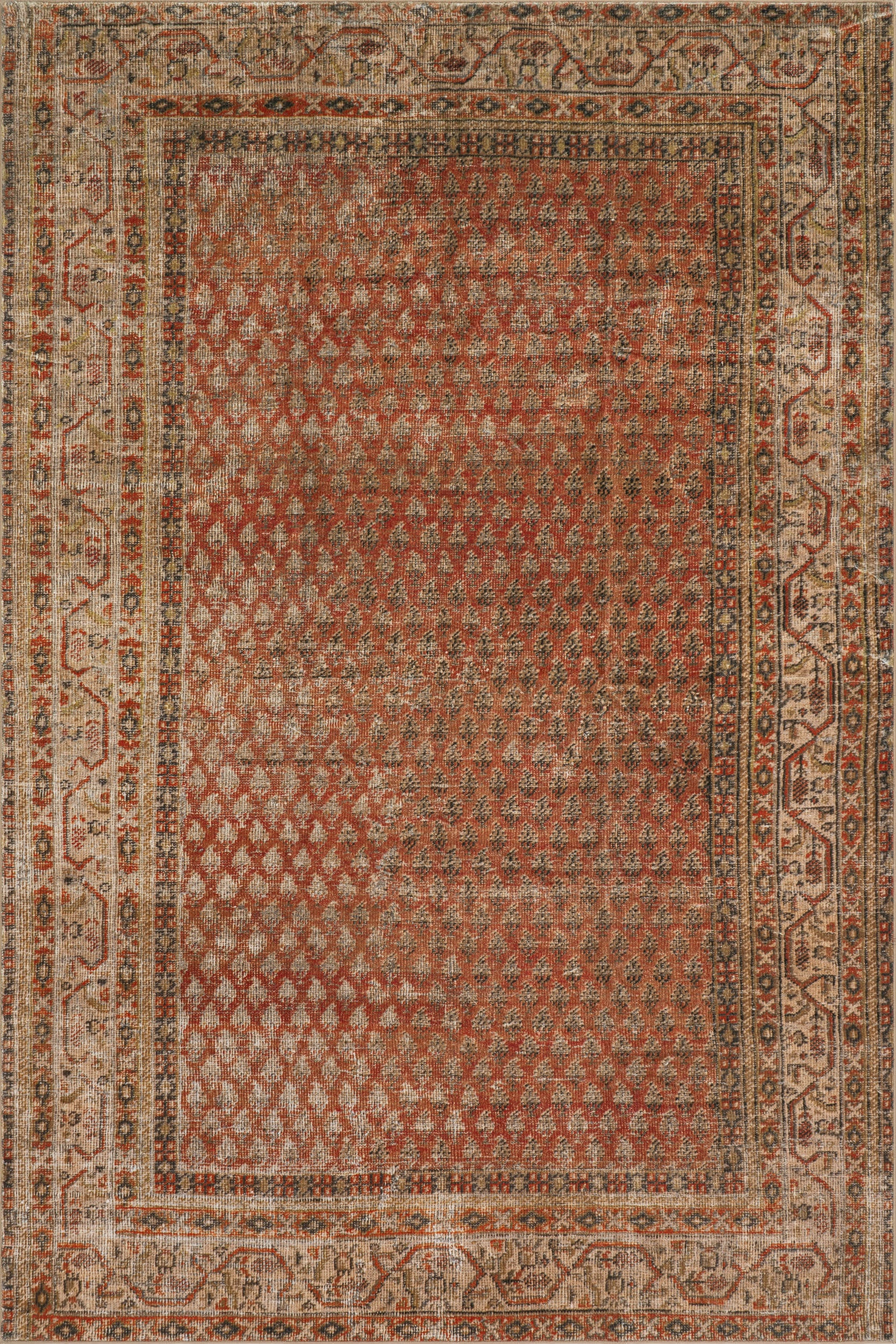 Orange Melin Distressed Washable 4' x 6' rug | Rugs USA