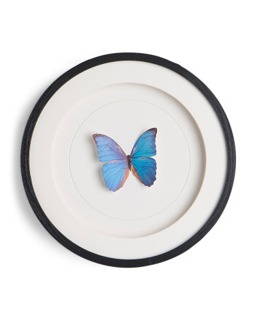 12in Paper Butterfly With Matte Round Frame Wall Art | Marshalls