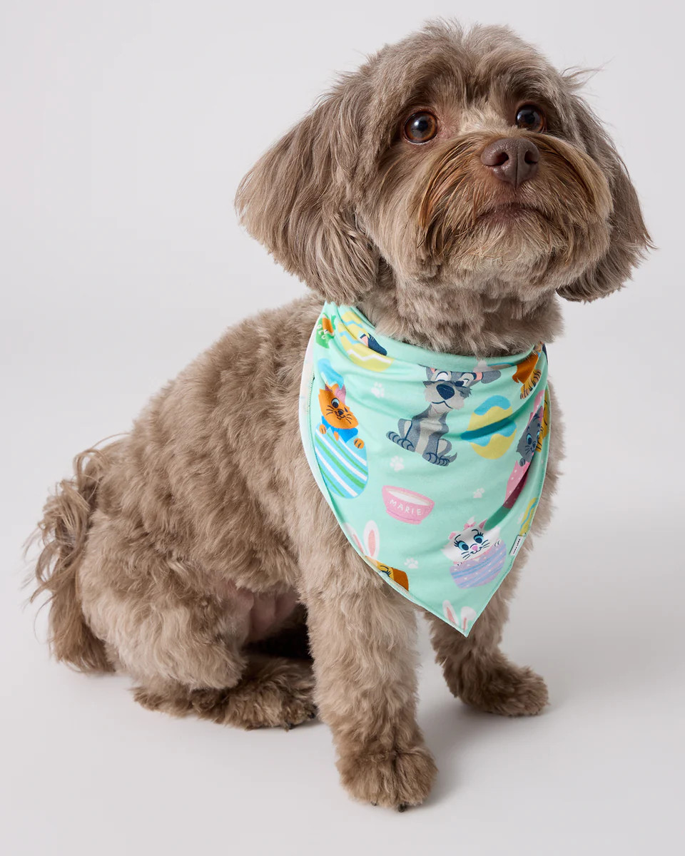 Disney Peekaboo Pets Pet Bandana | Little Sleepies