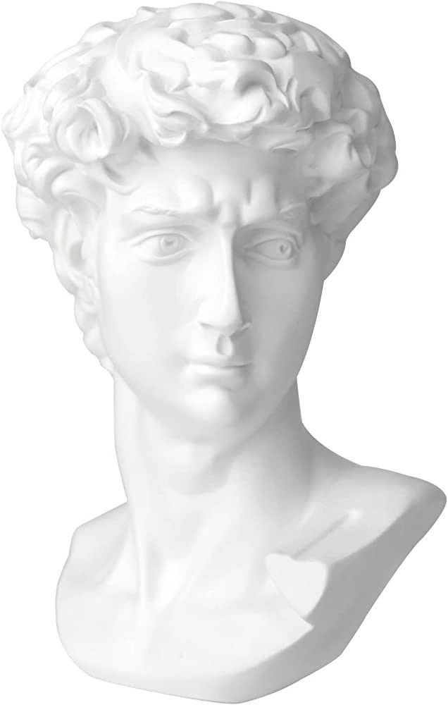 Norrclp 11in Greek Statue of David, Classic Roman Bust Greek Mythology Sculpture for Home Decor | Amazon (US)