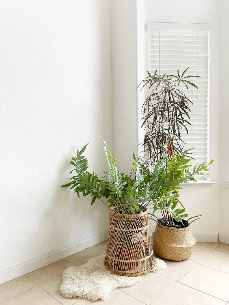 Mid century woven bamboo rattan wood wicker plant stand  | Etsy | Etsy (US)