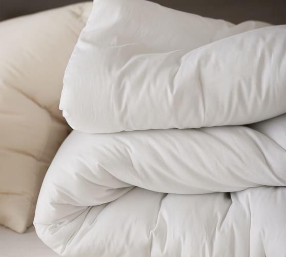 Dream Brushed Cotton Comforter | Pottery Barn (US)